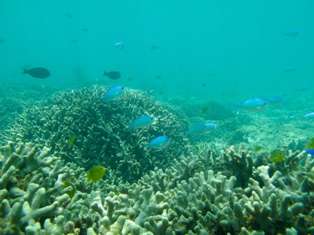 You gonna get there late on Route 58