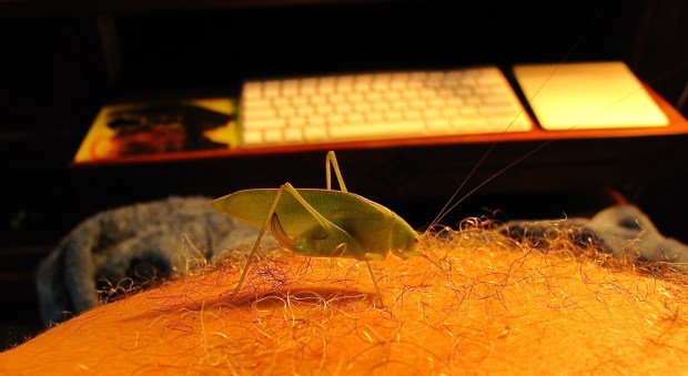 You are welcome in my house.