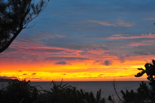 Voodoo sunset last night