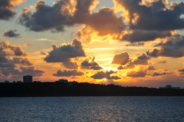 Last night. A touch autumnal.