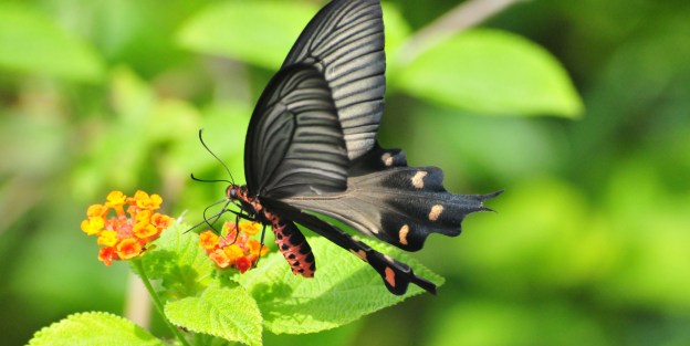 It is cooler, which makes walking around in the sun extremely enjoyable.