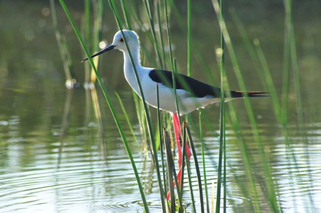 Why do I bother going to work?