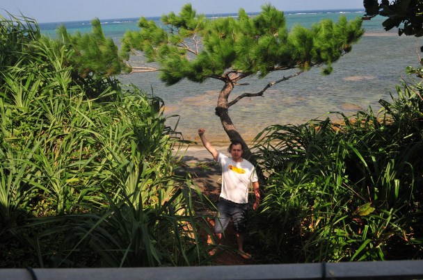 Ben clears undergrowth