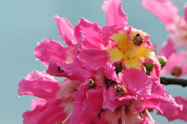 What the hell is that?